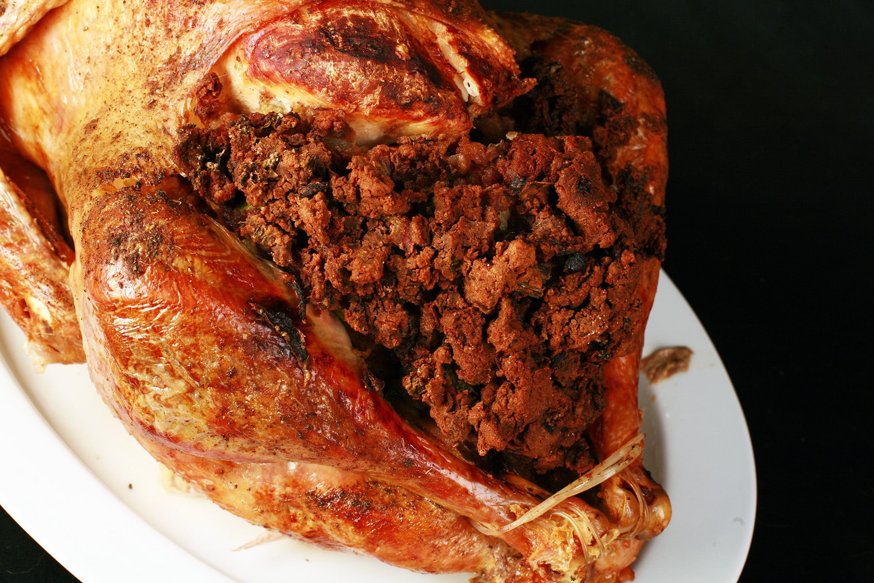 A close up view of a paleo stuffed roasted turkey.