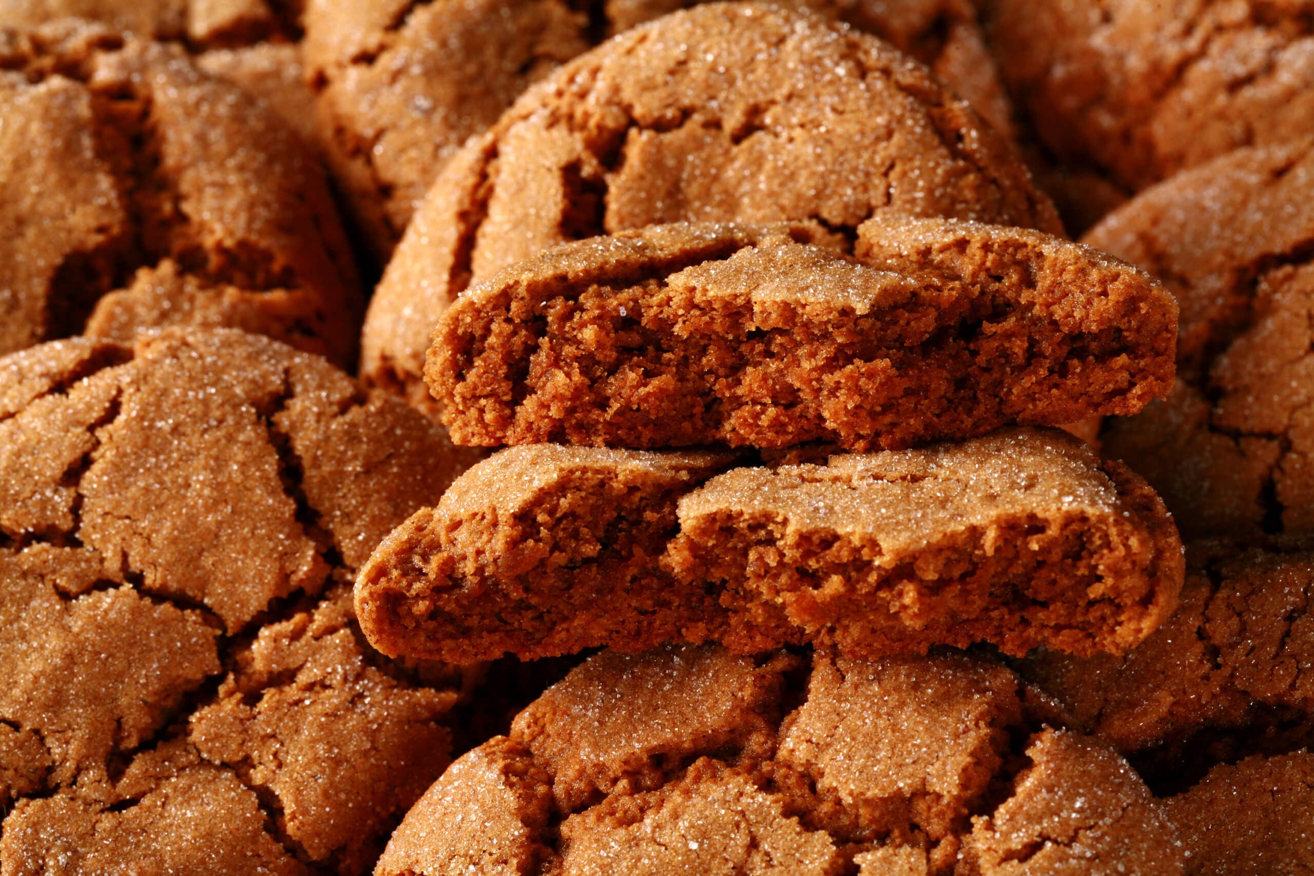 A plate of gluten free ginger molasses cookies.