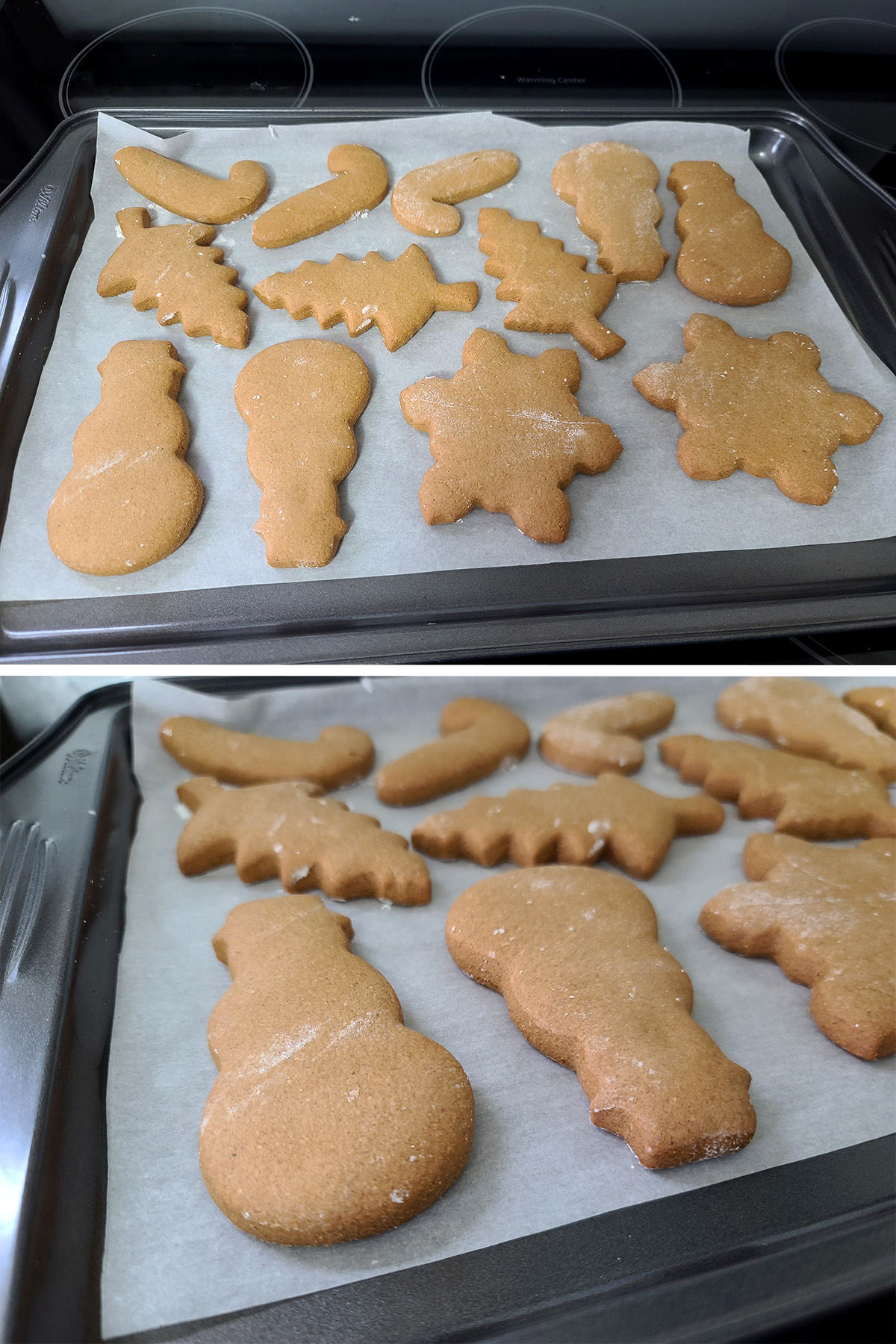 Baked gluten-free gingerbread cookies on parchment lined baking sheets.