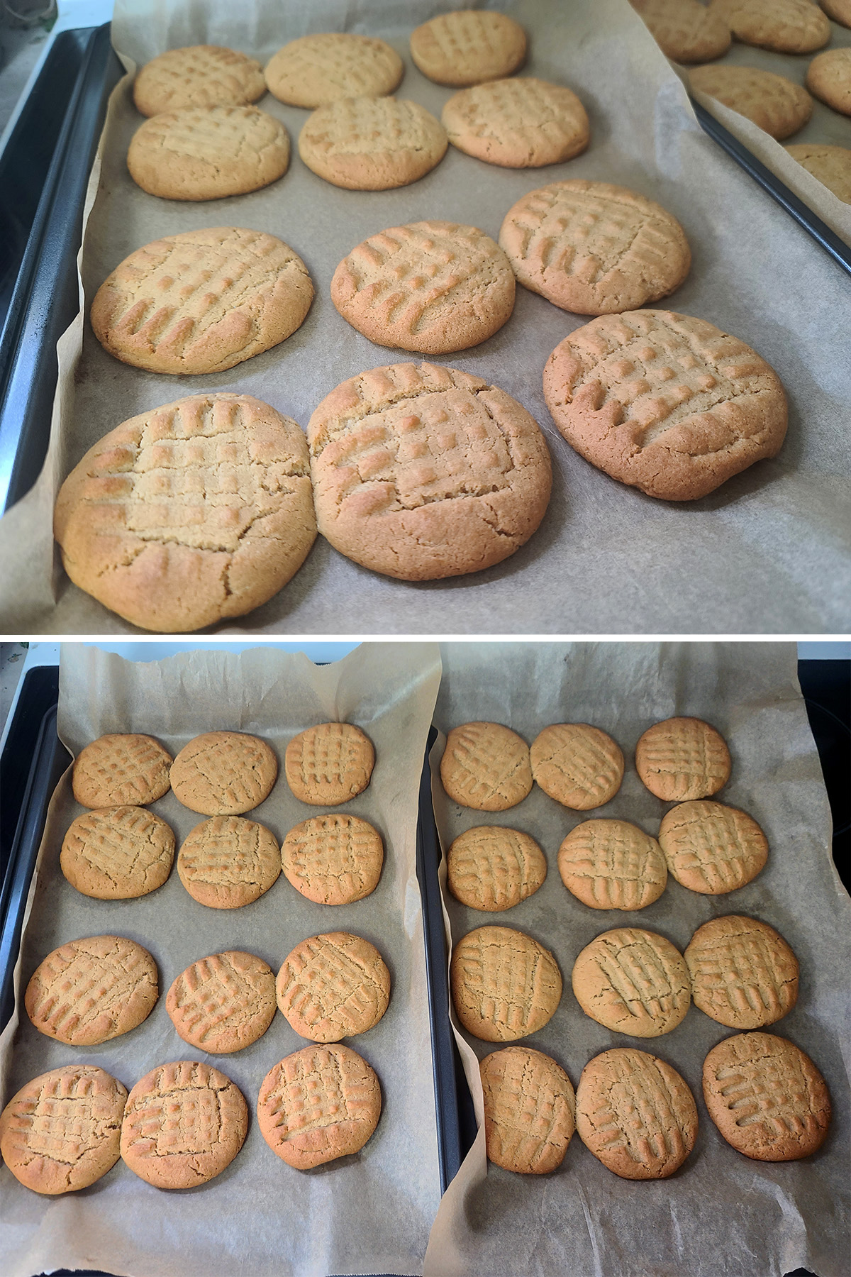 A 2 part image showing the baked cookies cooling on the cookie sheets.
