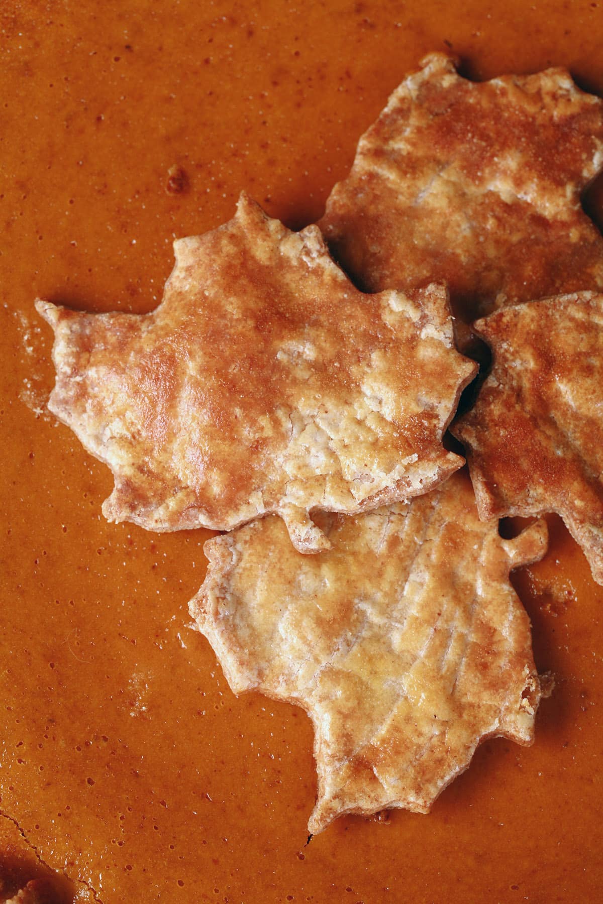 A close up photo of pie crust maple leaves on top of a gluten free pumpkin pie.