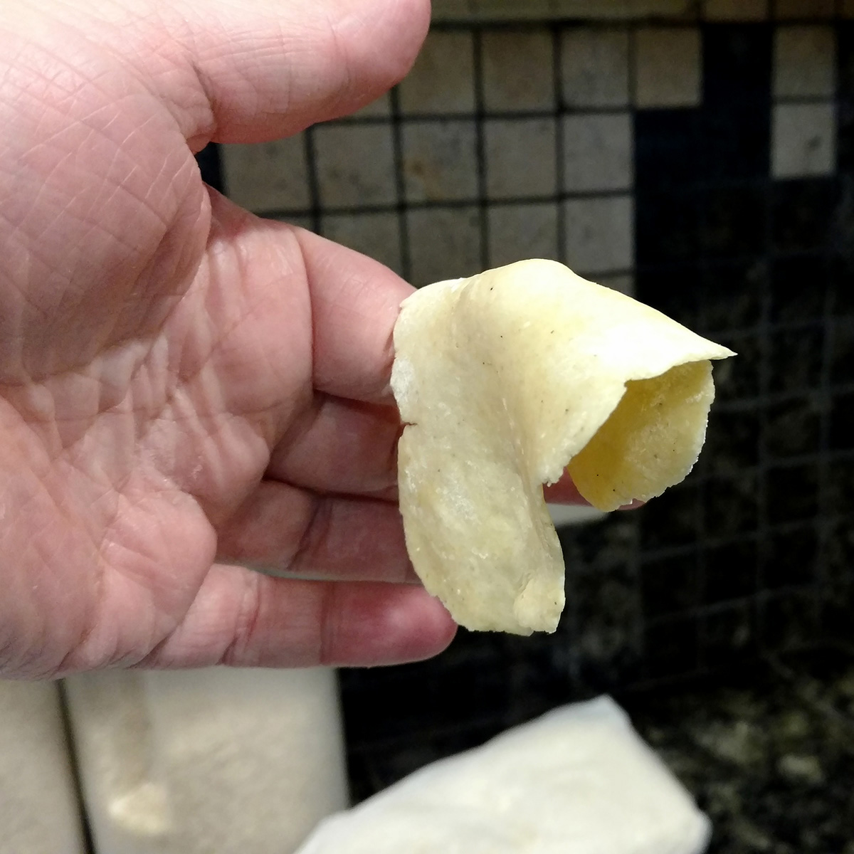 A thinly rolled section of dough draped over a finger.