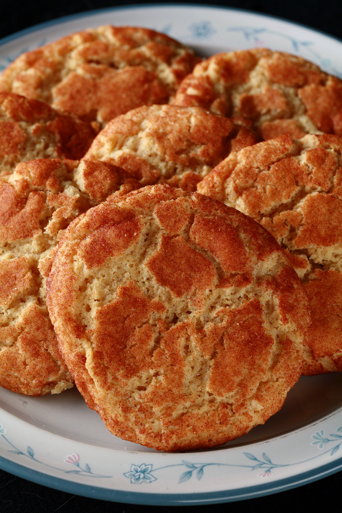 A plate of gluten-free snickerdoodle cookies.