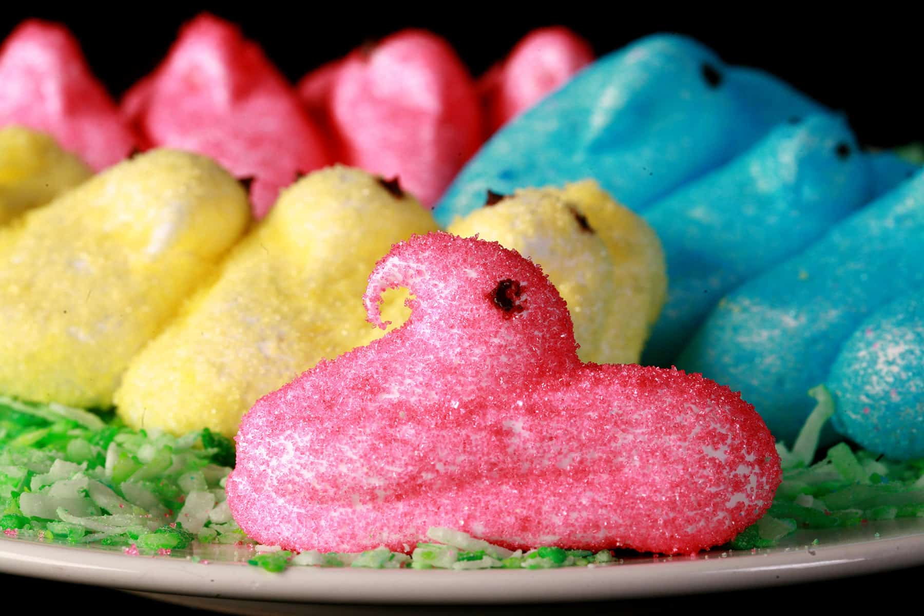 Pink, yellow, and blue chick shaped homemade peeps on a bed of green coconut.