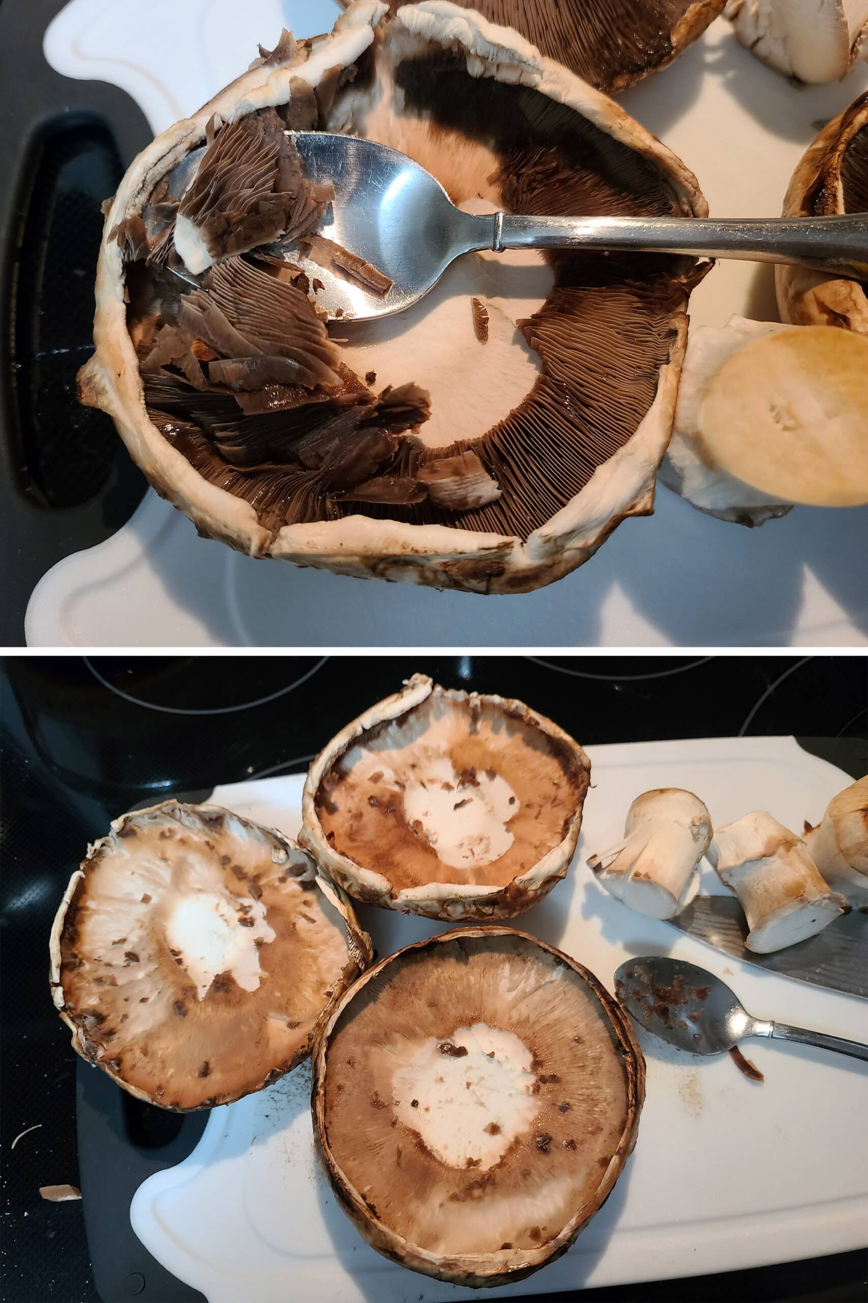 2 part image showing the gills being scraped off large portabello mushrooms.